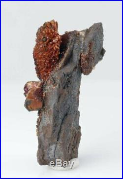 6cm RHODOCHROSITE from N'Chwaning, Kalahari, South Africa Old Stock 3291