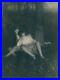 Large-size-Monsieur-X-French-nude-woman-prostitute-original-old-1930s-photo-cc-01-bx