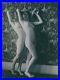 Large-size-Monsieur-X-French-nude-woman-prostitute-original-old-1930s-photo-dd-01-fk
