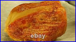 Old Amber Baltic Sea Stone 135 Grams High Yellow White Class Color Collectible