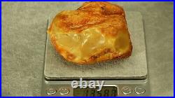 Old Amber Baltic Sea Stone 135 Grams High Yellow White Class Color Collectible