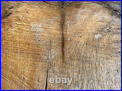 Sinker Cypress Old Growth Ancient Forest Wood Wall Art