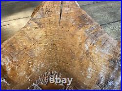 Sinker Pecky Cypress Old Growth Ancient Forest Wood Wall Art