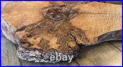 Sinker Pecky Cypress Old Growth Ancient Forest Wood Wall Art